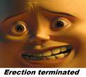 erection terminated.png