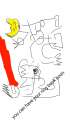 ef68ebc6-7880-4b50-8711-98aa99da0023.png