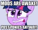 mods are awake! post ponies anyways.jpg
