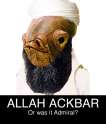 Admiral Ackbar.jpg