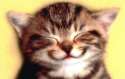happy_cat.jpg