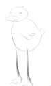duck.png
