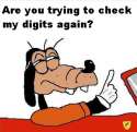 check my digits.png
