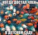 dZwObUWRegA.jpg