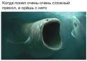прикол.jpg
