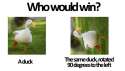 CfW6WauUYAAXCpr.jpg
