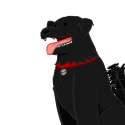 waggsthewonderdog.png