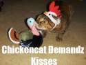 lolcatsdotcom4tf1ba2cgprq46mo.jpg