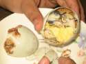 balut.jpg
