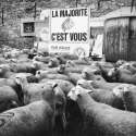 rene_maltete-humor-4.jpg