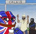1701D.jpg