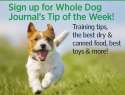 e59d19bbdfcd1462561928-dog1-popup.jpg
