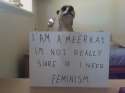 meerkat.jpg
