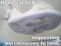 hovercat.jpg