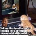 yo_cat.jpg