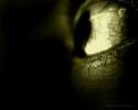 insomnia___wallpaper_by_weeja.jpg