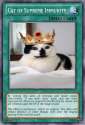 cat of supreme immunity.jpg