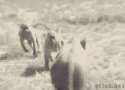 1403631420967.gif