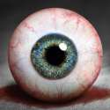 eyeball20001.jpg