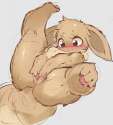 Eevee11.jpg