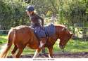 young-girl-performing-exercises-on-horseback-bfyd40.jpg