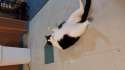 20140429_160239.jpg