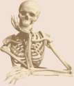 Mr+admin+when+are+you+going+to+recommend+some+calcium+_d165222f07683fe5b74ed99fe51eed2b.png