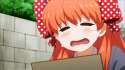 1762312.gif