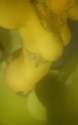20140731_112952.jpg