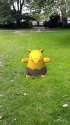 IMG_2016-07-09-13455550.png