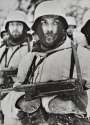 5th SS panzer division Wiking.jpg