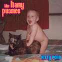 catvsBabykittypro.jpg