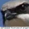 sheerforceofanger.jpg