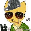 dce05-swag.gif