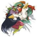 Hawlucha1.jpg