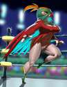 Hawlucha7.jpg