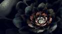 Flower Wallpaper.jpg