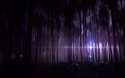 6889104-amazing-wizard-wallpaper.jpg