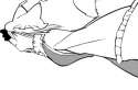 midair contemplation.png