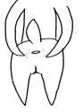 bun.jpg