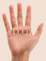 hands_PNG905.png