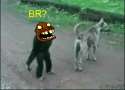 @br1495071967850.gif