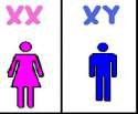 gender_is_in_the_genes.jpg