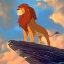 simba.jpg