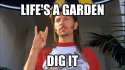 JoeDirt.jpg