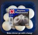 HiroshimaMushrooms.jpg