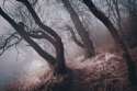 tumblr_nmn12pY8tJ1rmenx4o1_540.jpg