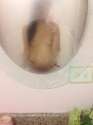 received_10155435063495287.jpg