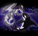 1423789646.ampdragoness_3_years_fa_size.png