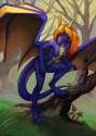 1424630046.dragonataxia_1424629101.harshai_15-02-22_1-3.png